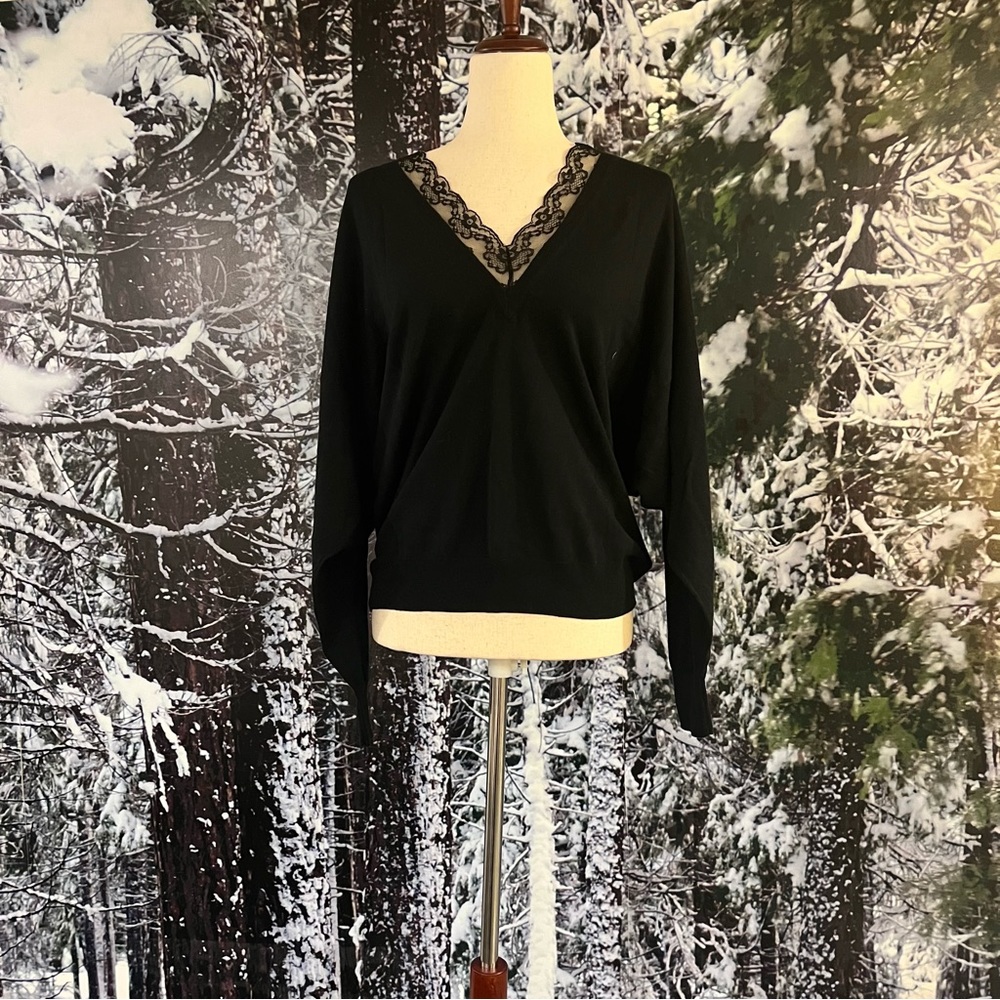 Cabi Black V-Neck Sweater
